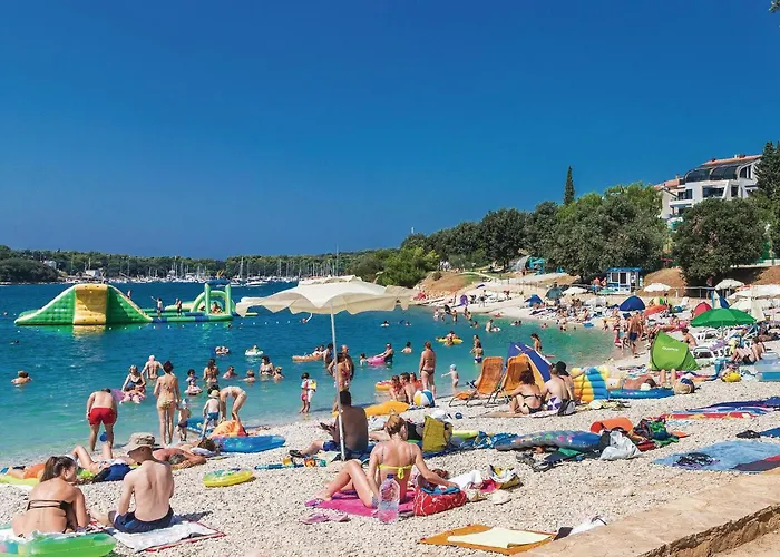 Stunning In With Wifi Apartment