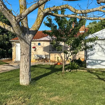 Apartment 1 Bedroom Amazing In *