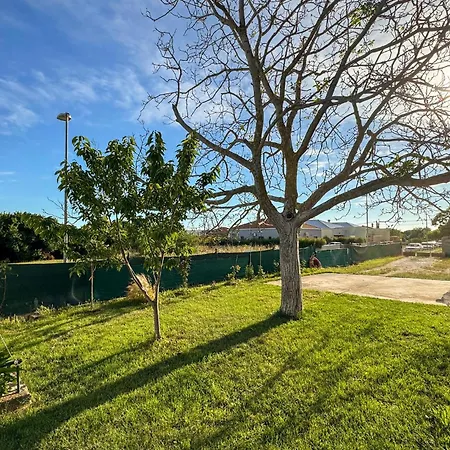 1 Bedroom Amazing In *