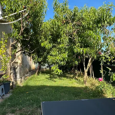 Apartment 1 Bedroom Amazing In *